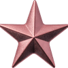Star icon